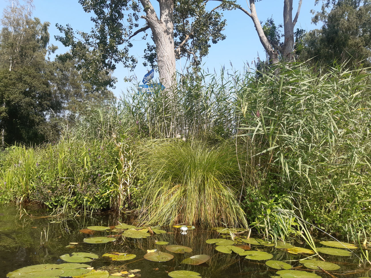 Elde-Insel