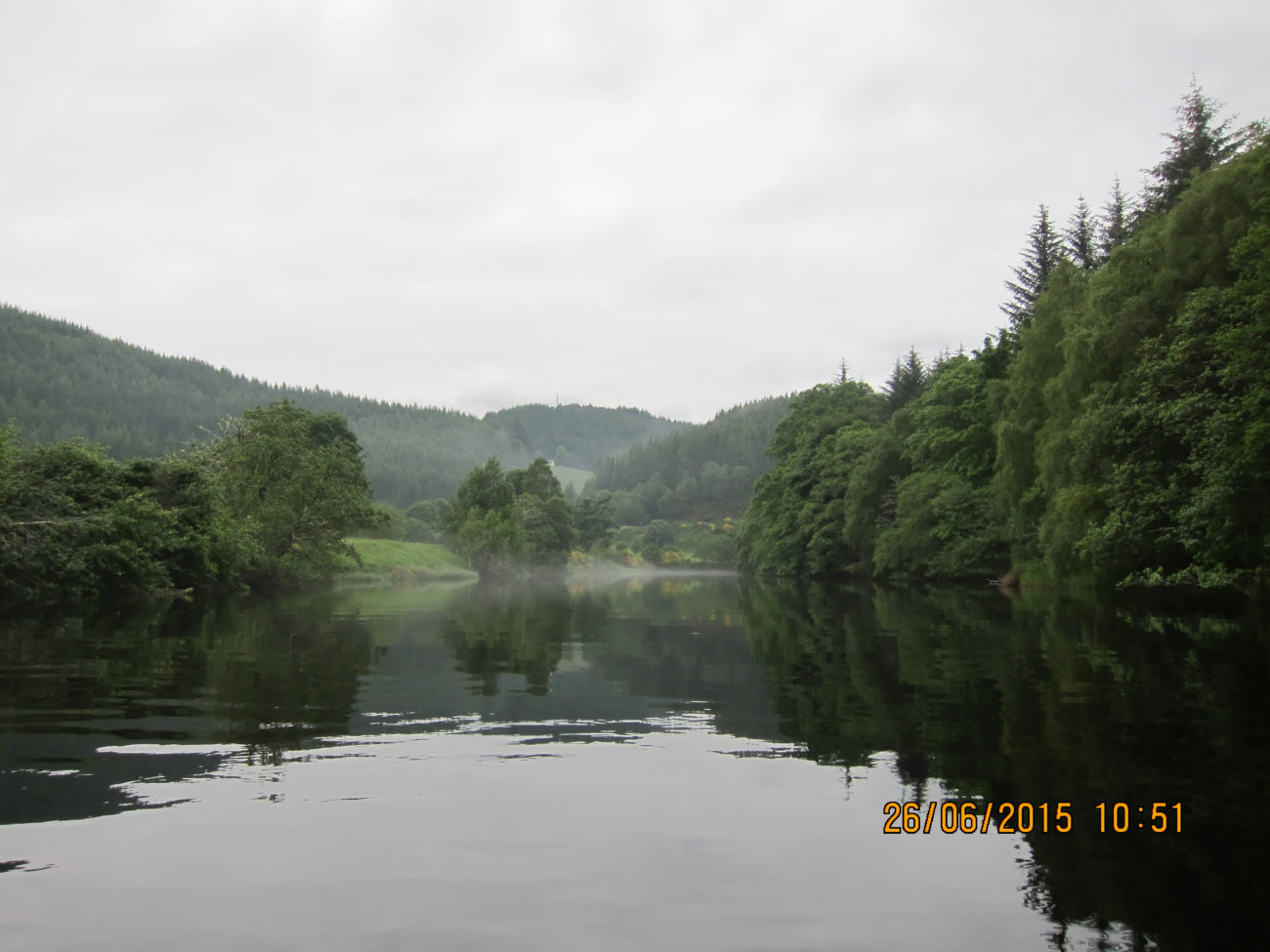 Morgennebel