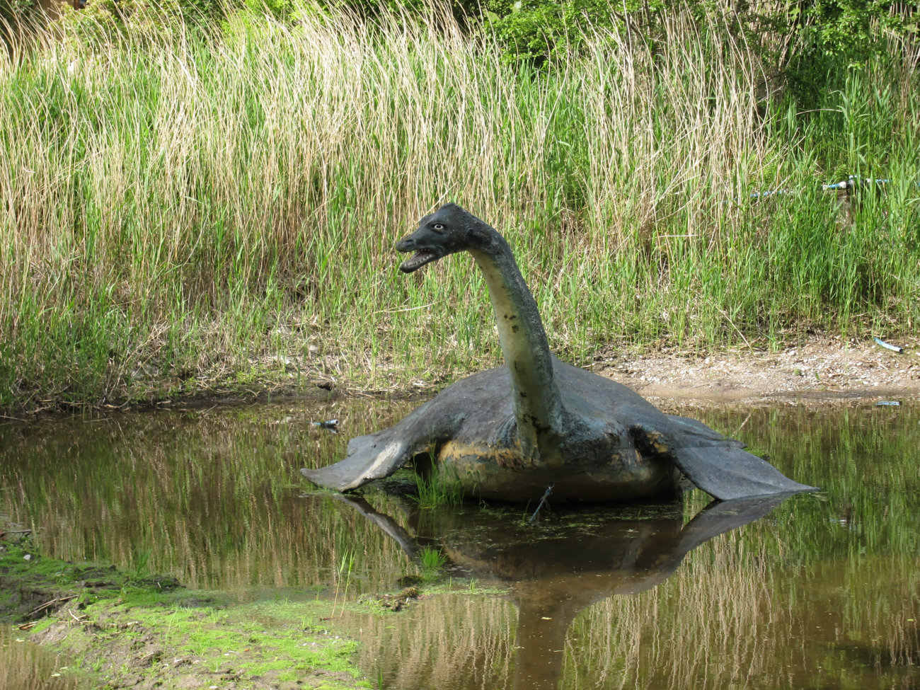 Nessie