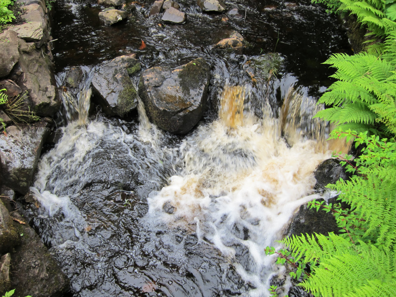 braunes Wasser