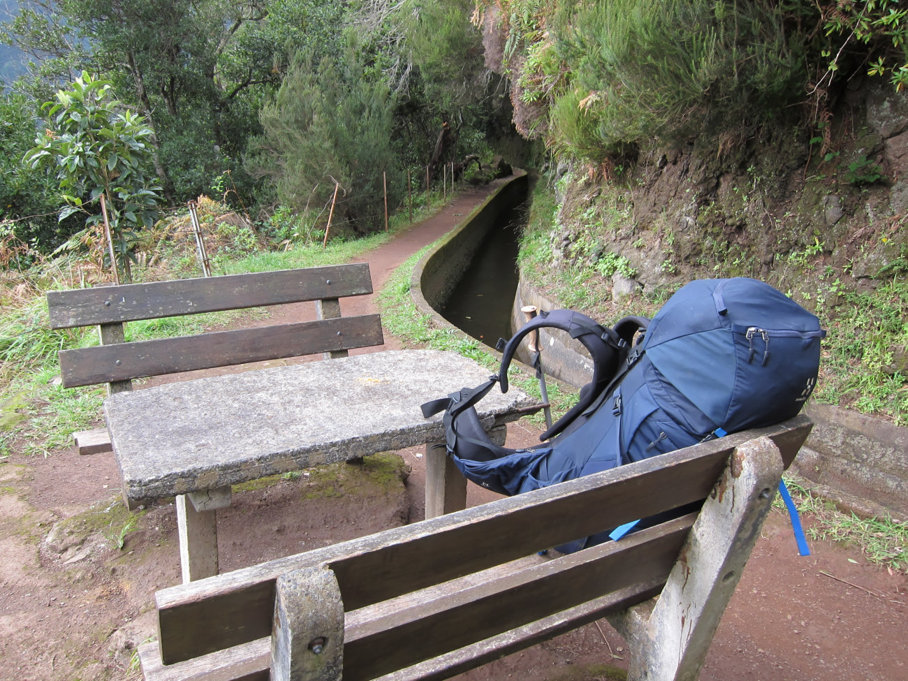 Levada-Rast
