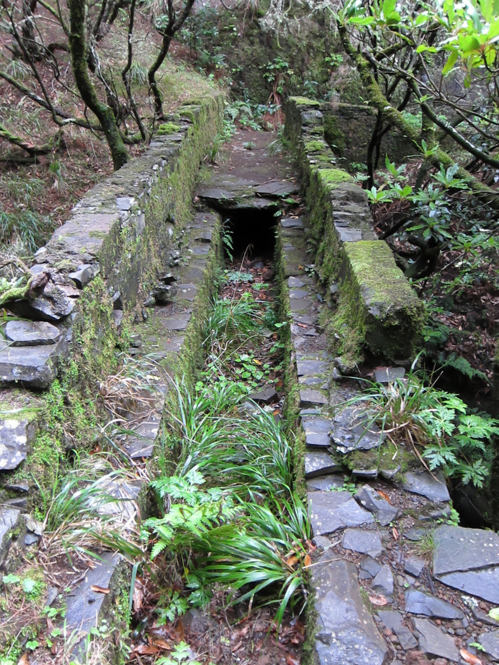Brücke