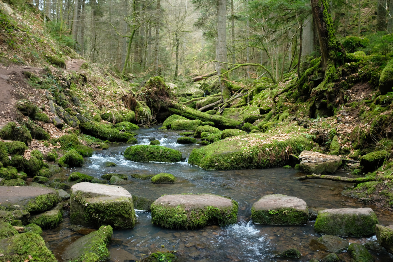 Monbachtal