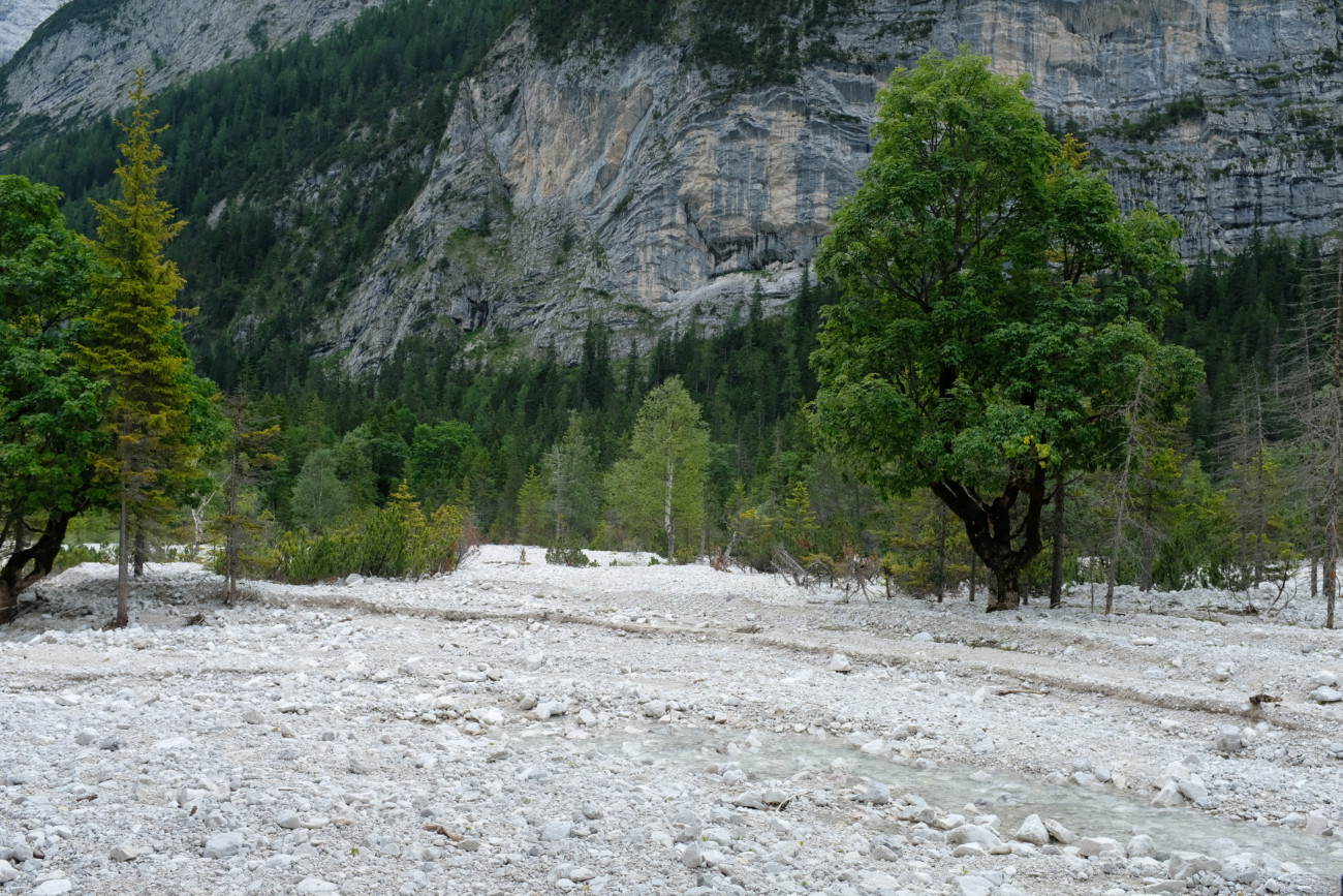 Hinterautalboden