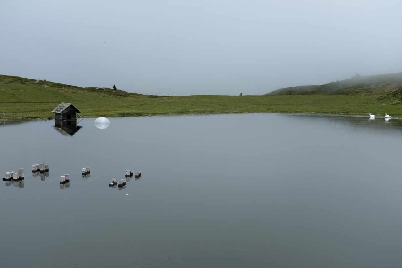 Schwanensee 2