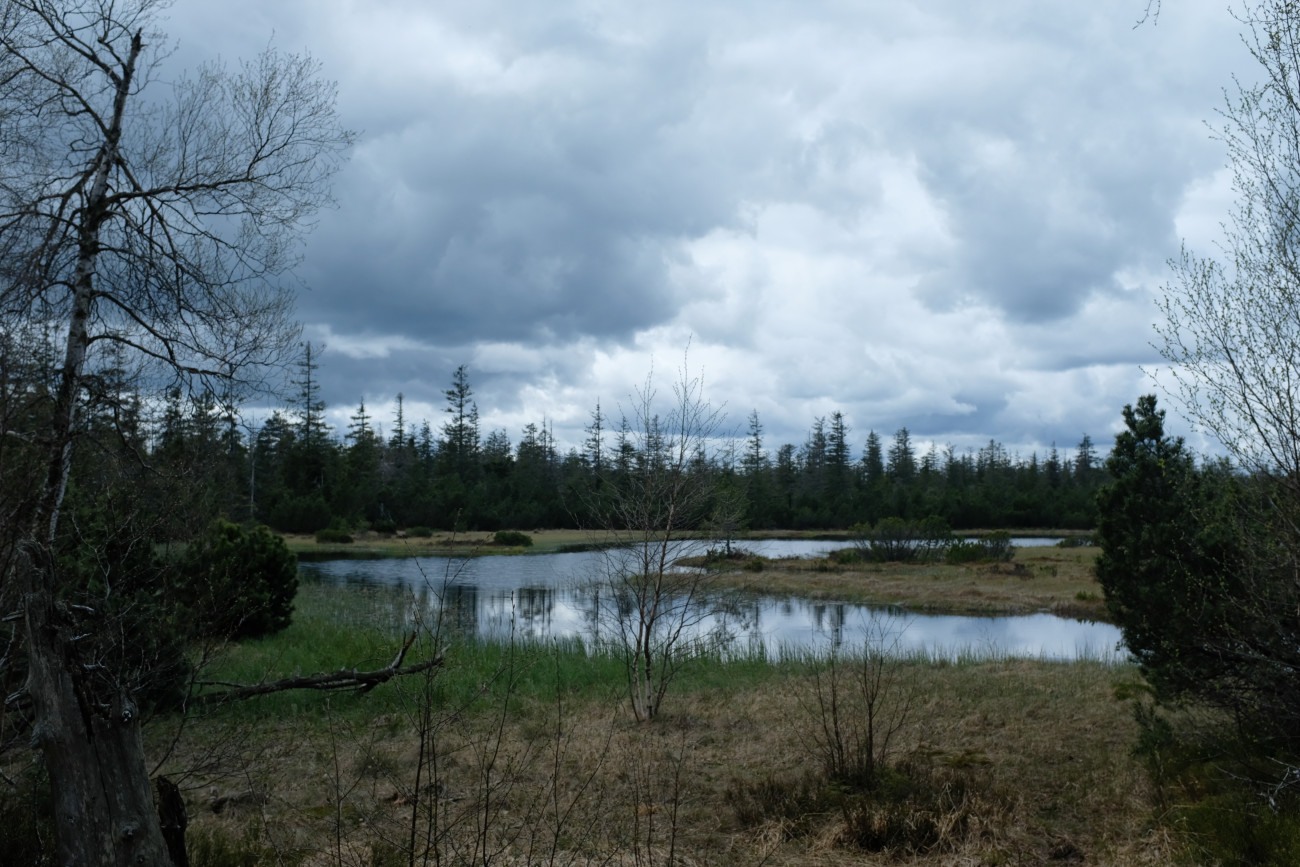 Hochmoor