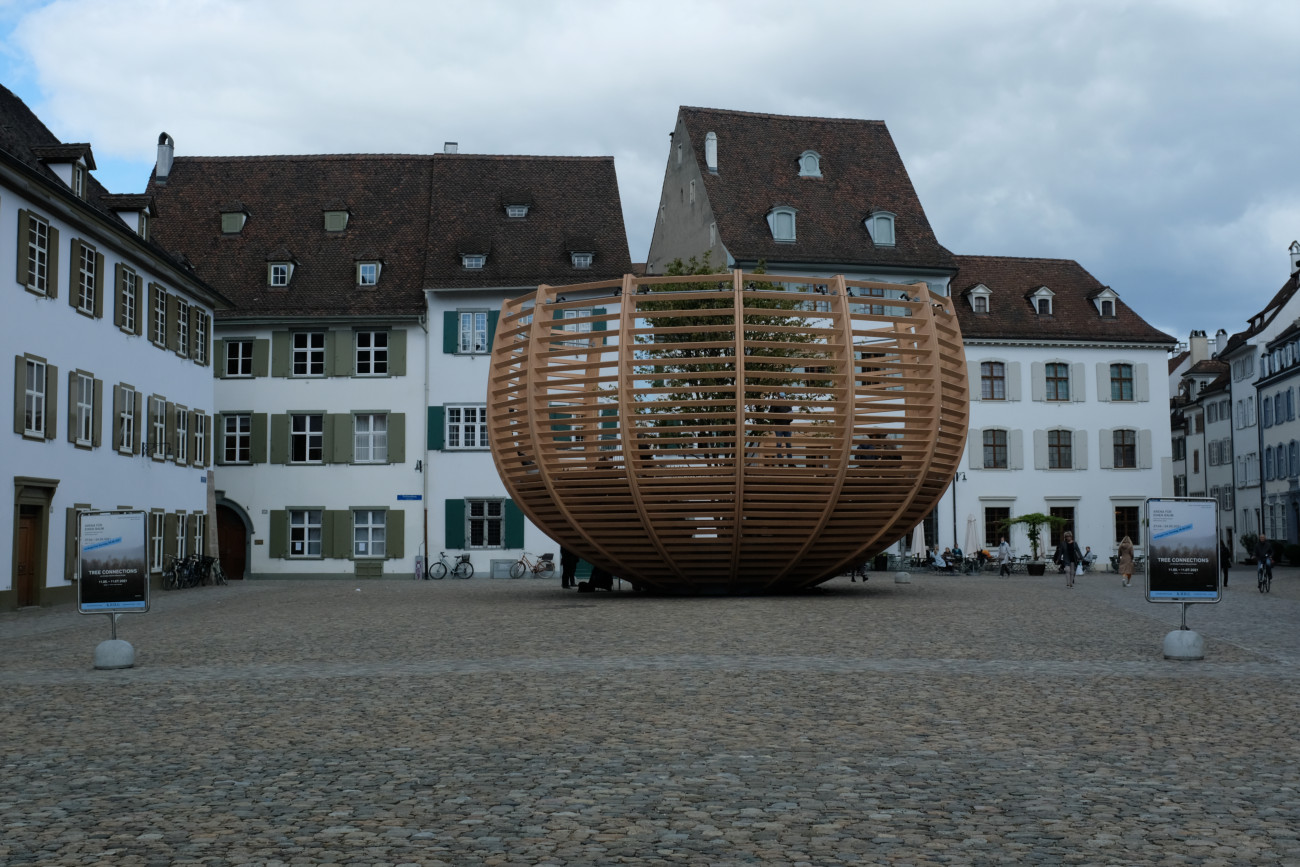 Baumdenkmal
