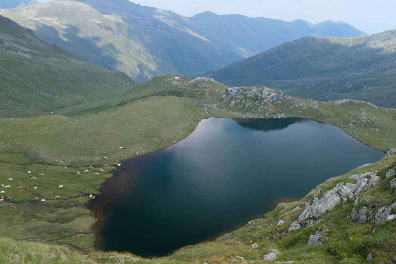 Glanzsee