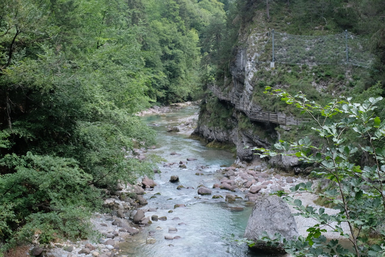 Holzweg fern