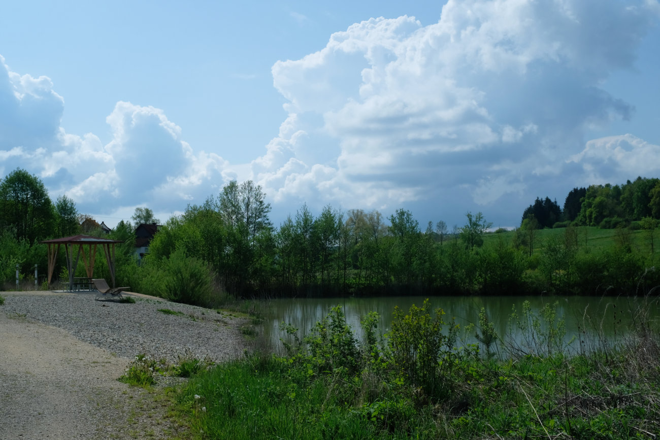 Froschteich