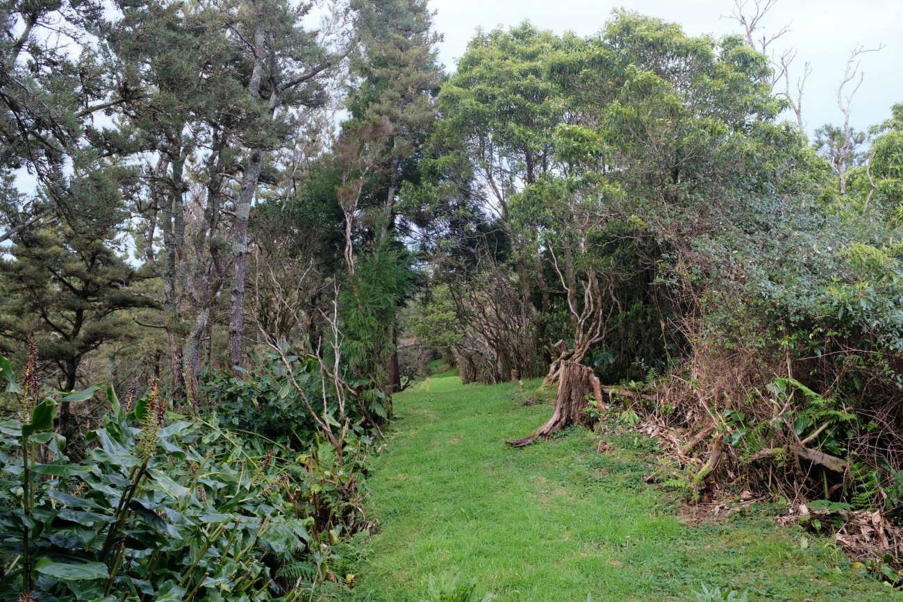 Kammweg
