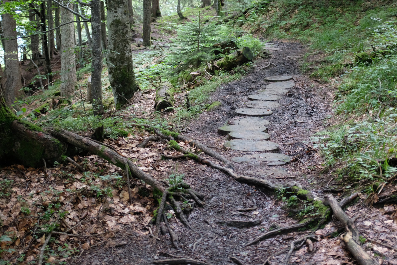 Matschweg