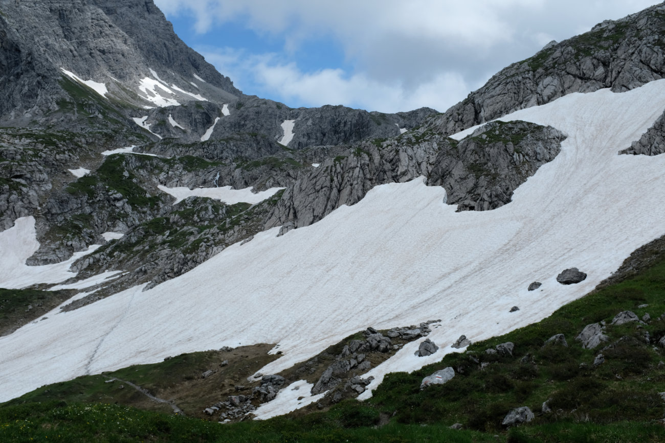 Schneefeld