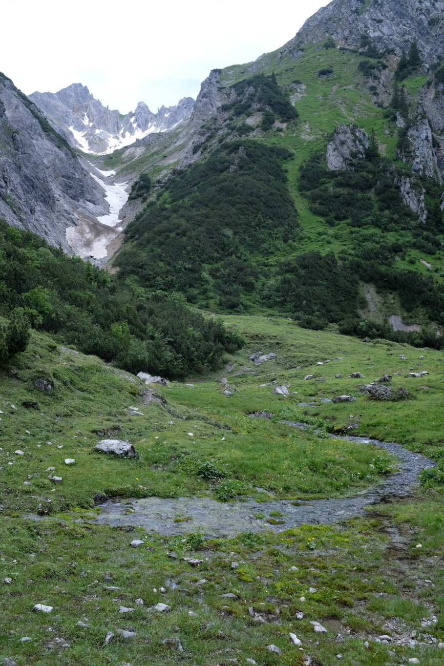 Bachquelle