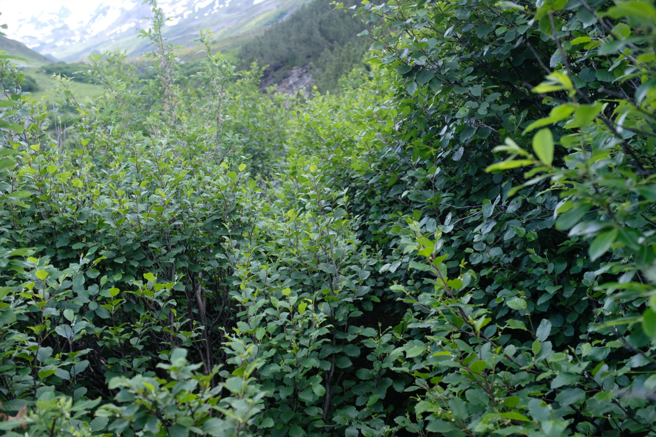 Fußweg-Ende