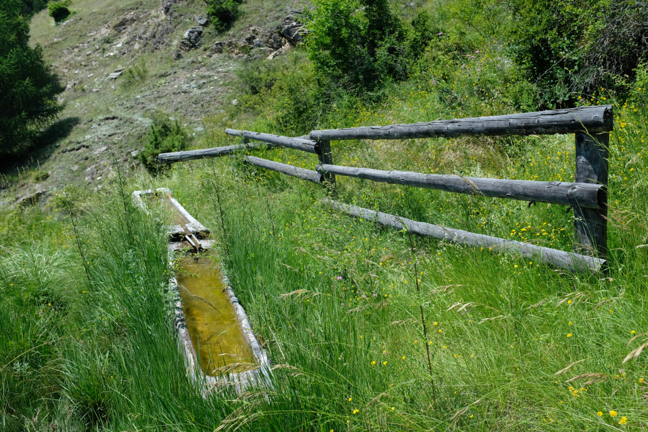 Tränke