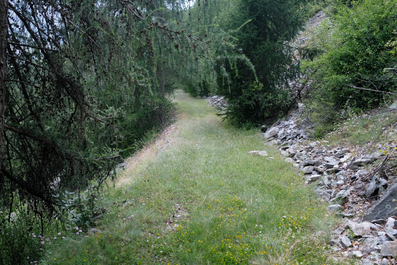alter Weg