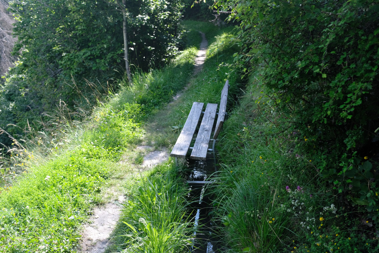 Bank auf Waal
