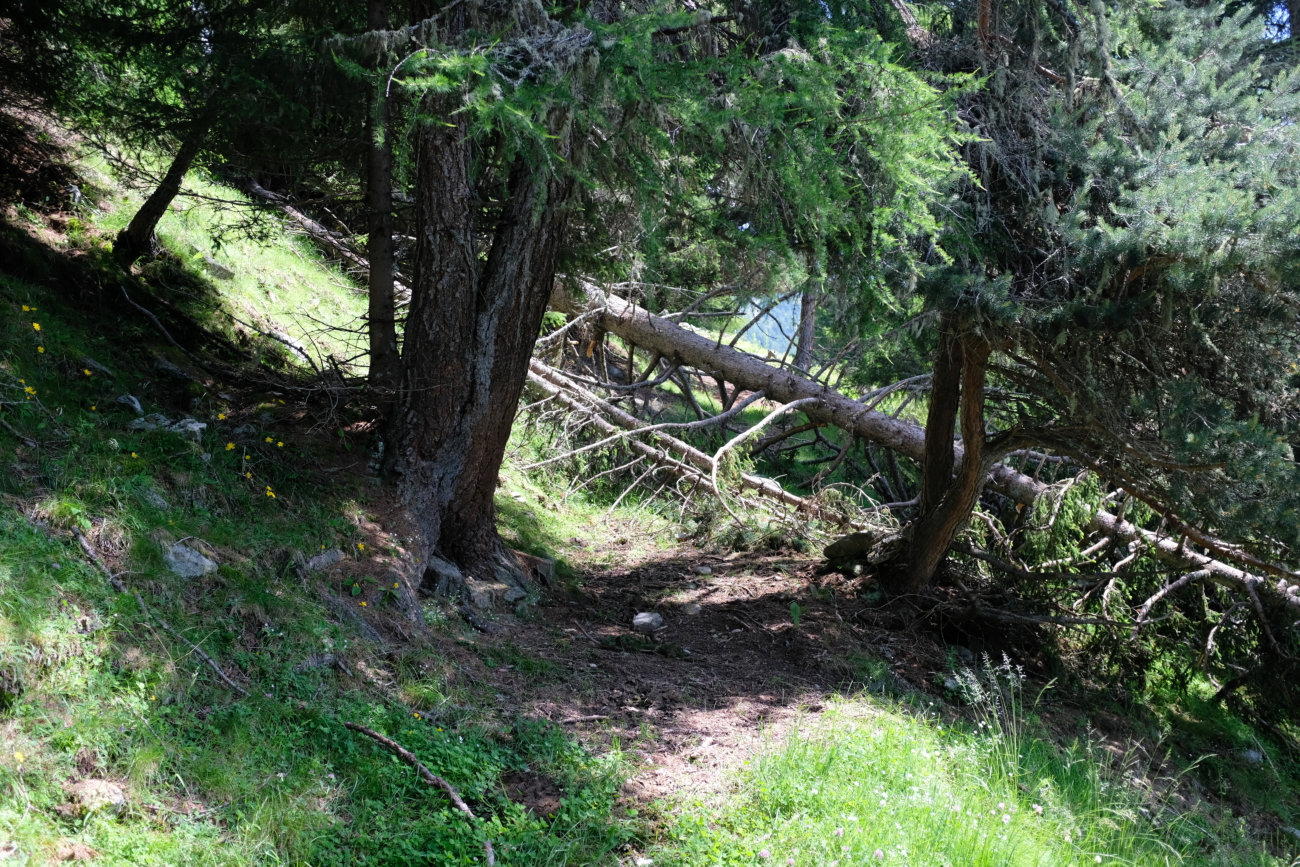 Kletterstelle