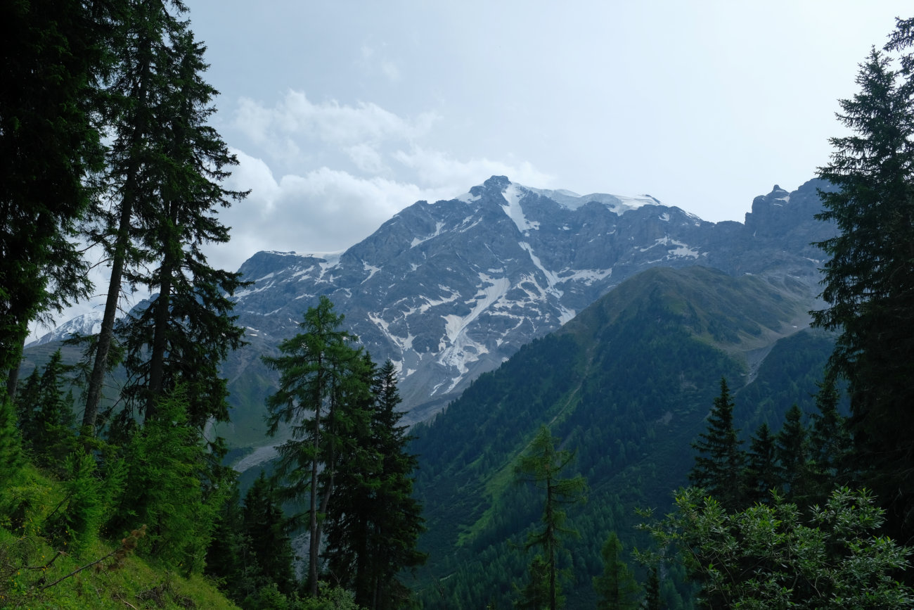 Ortler