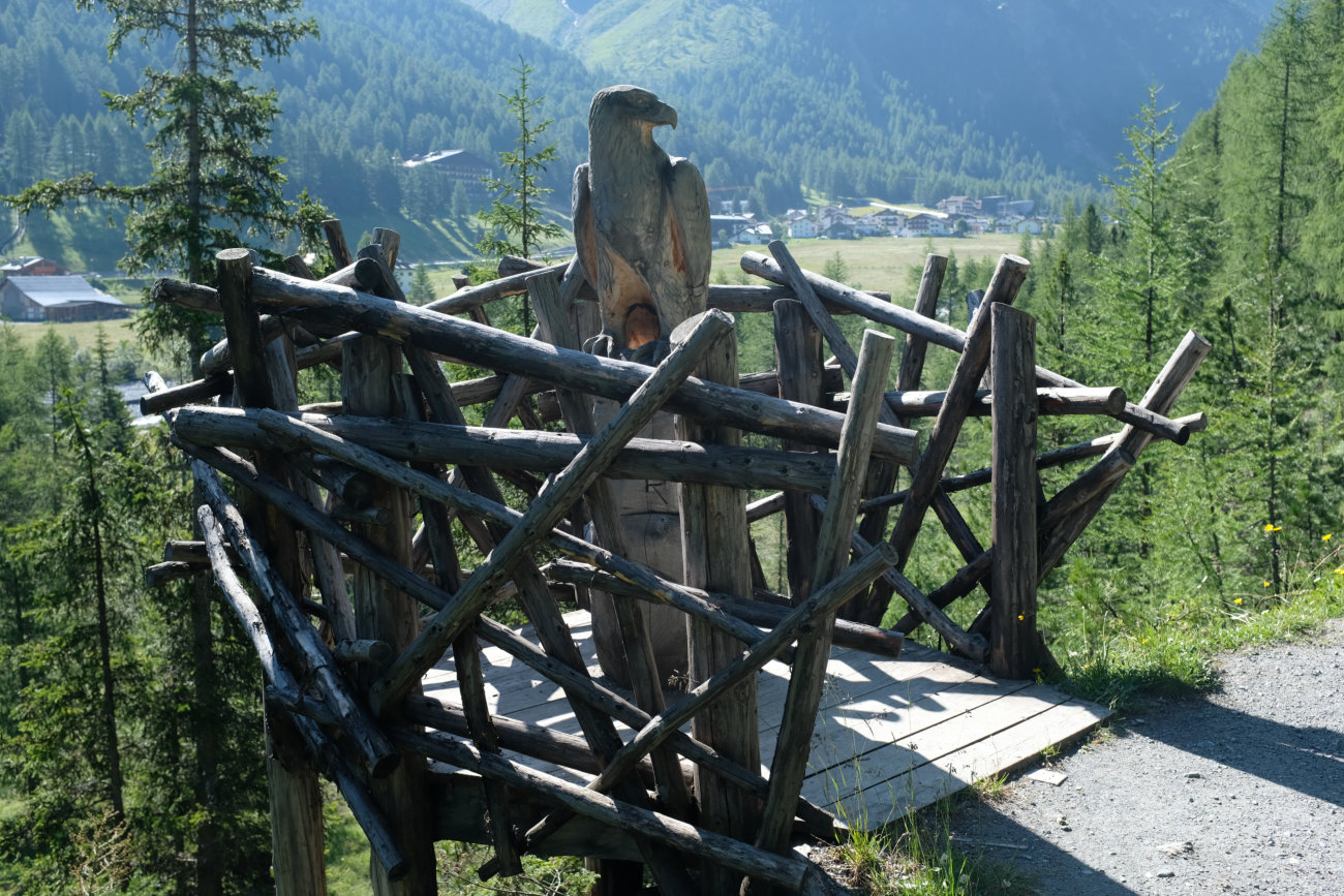 Holzadler mit Horst