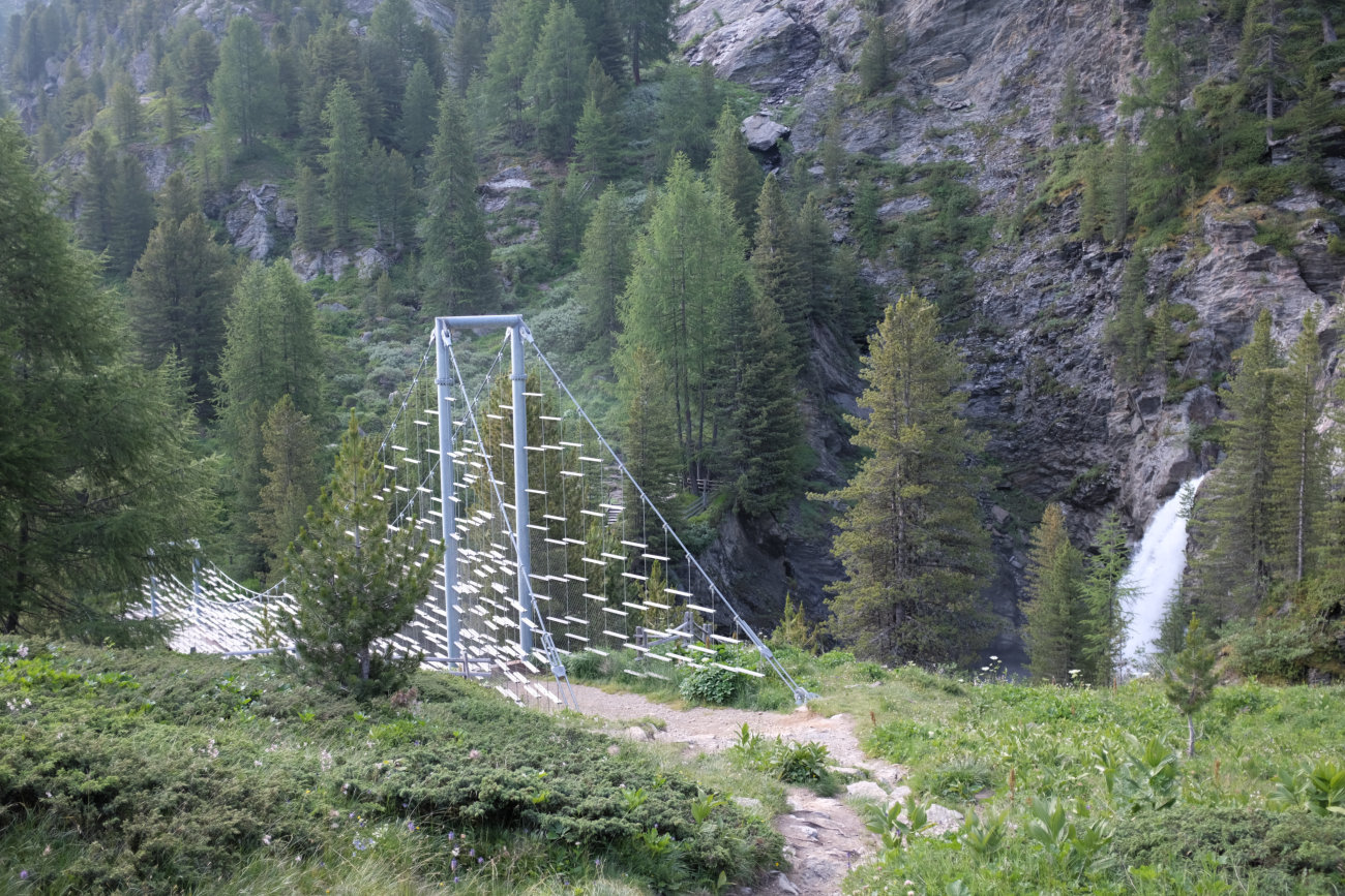 Plimabach