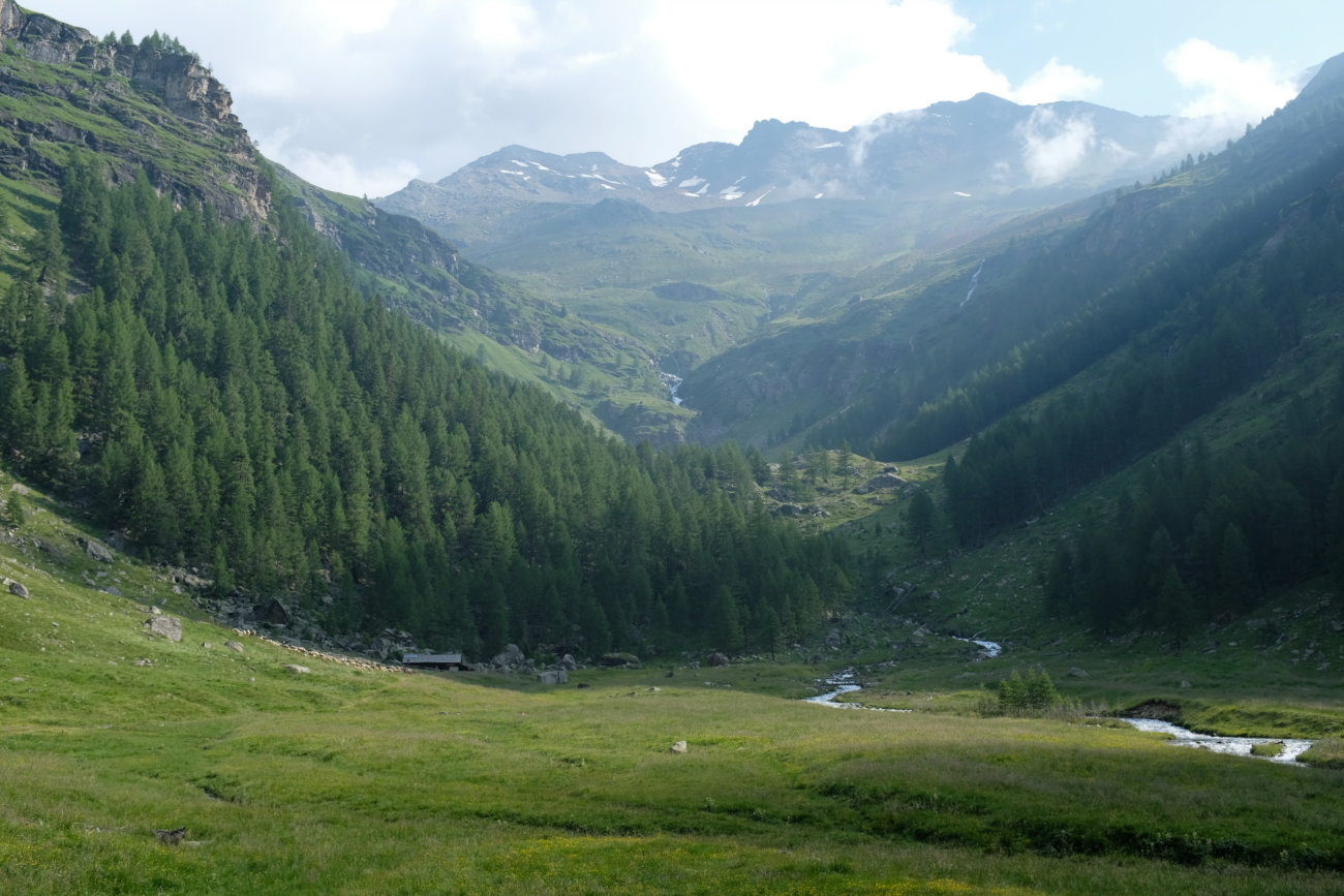 Blick zurück