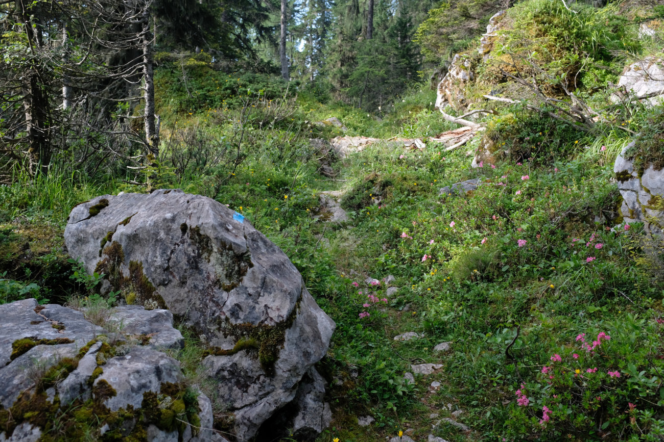 Blauer Weg