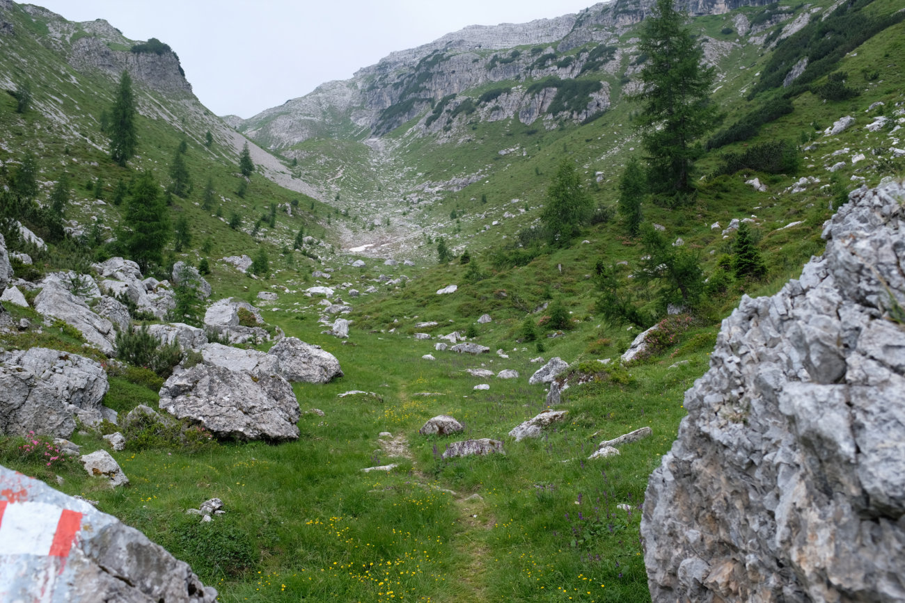 Weg zum Kamm