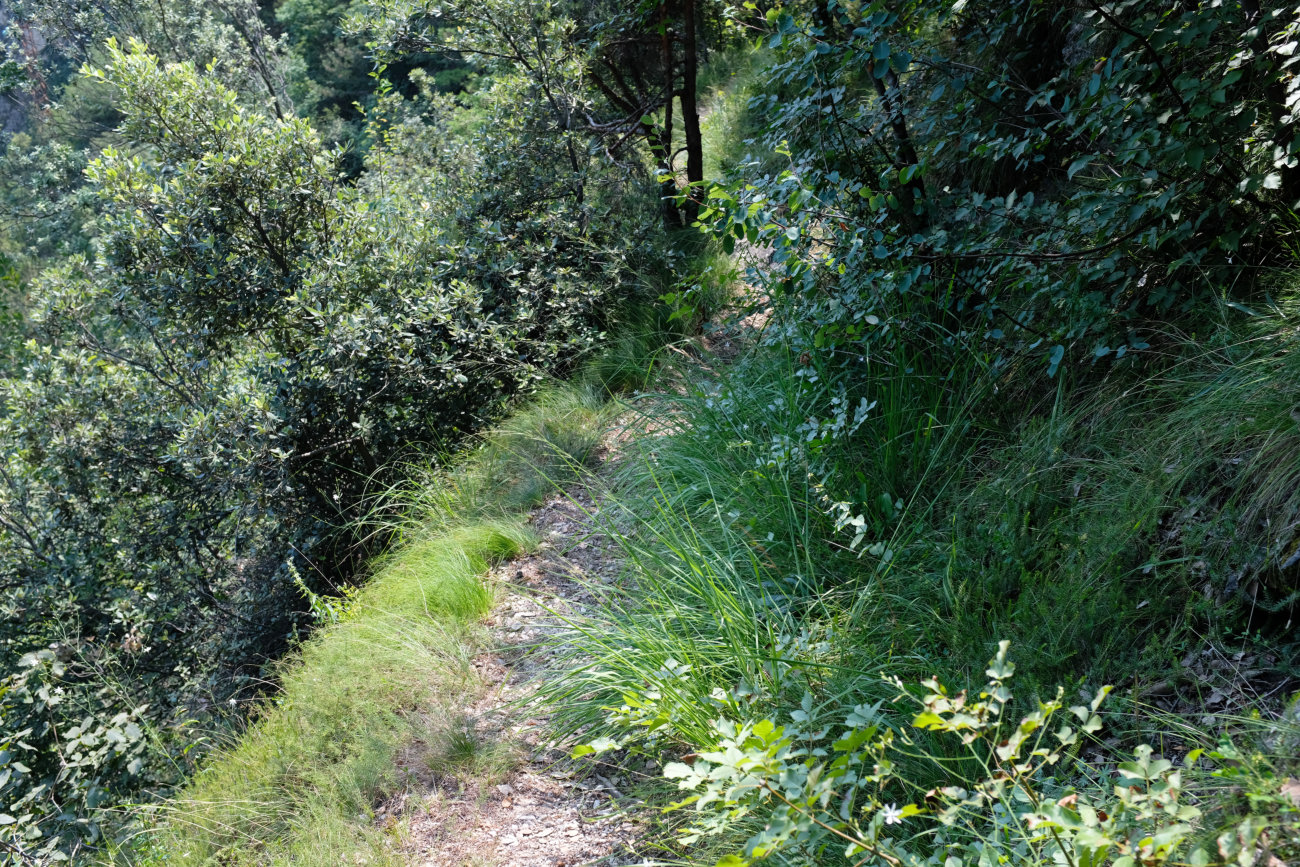 Hangweg