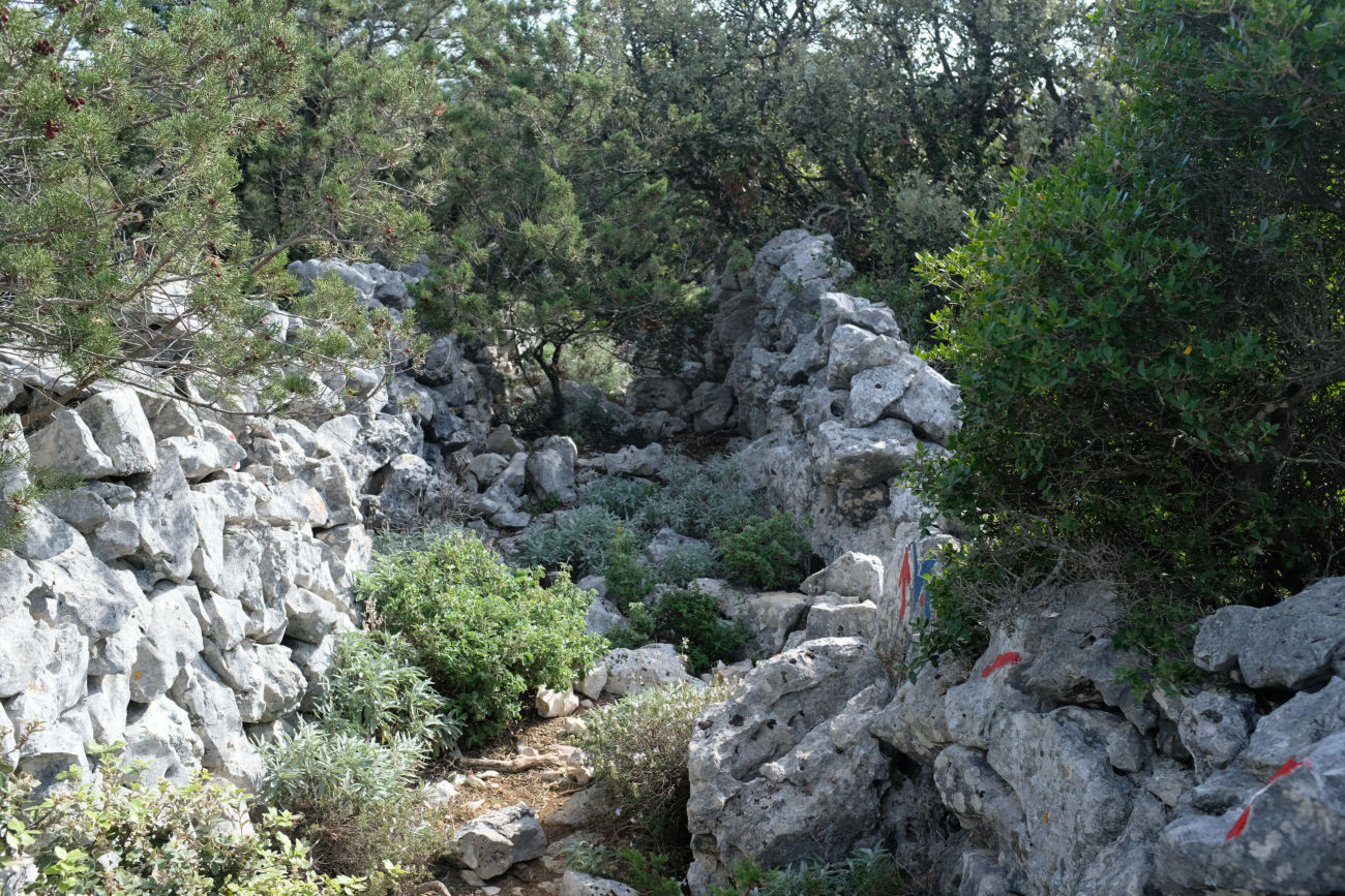 Ein Busch ist im Weg