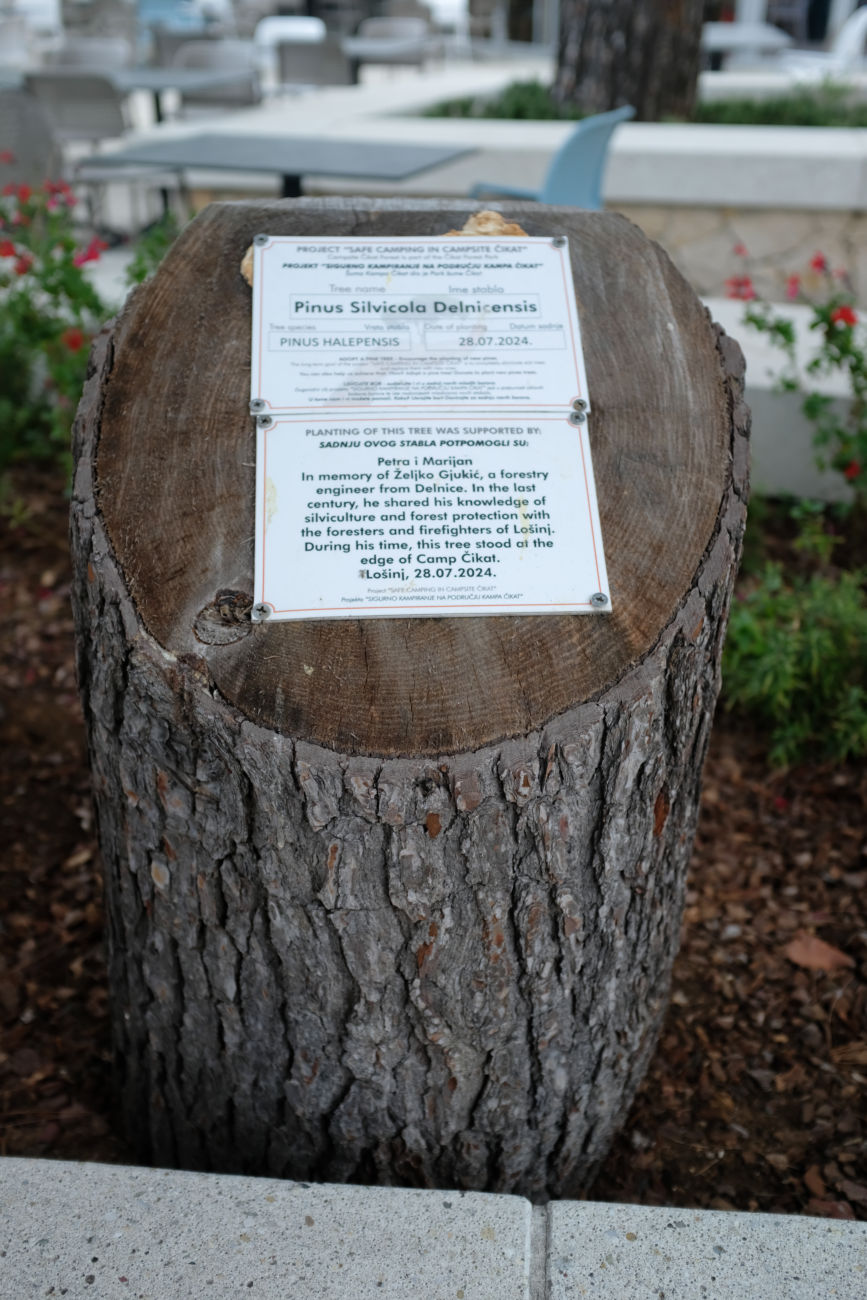 gefällter Baum mit Schild