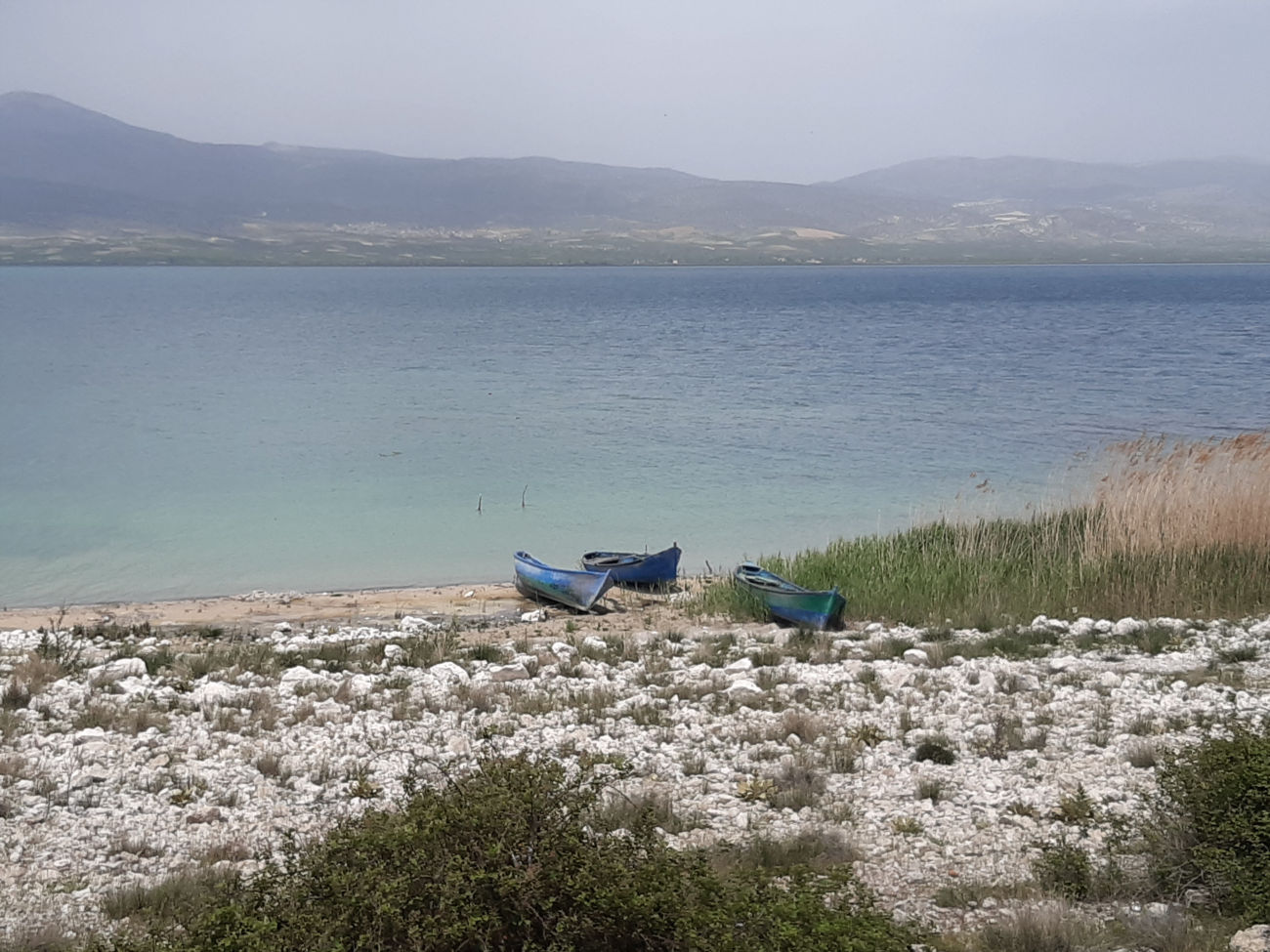 Fischerboote