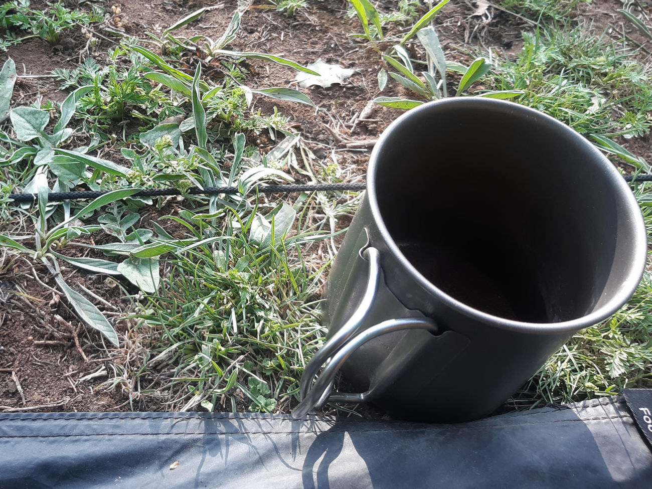 Tasse mit Spinne