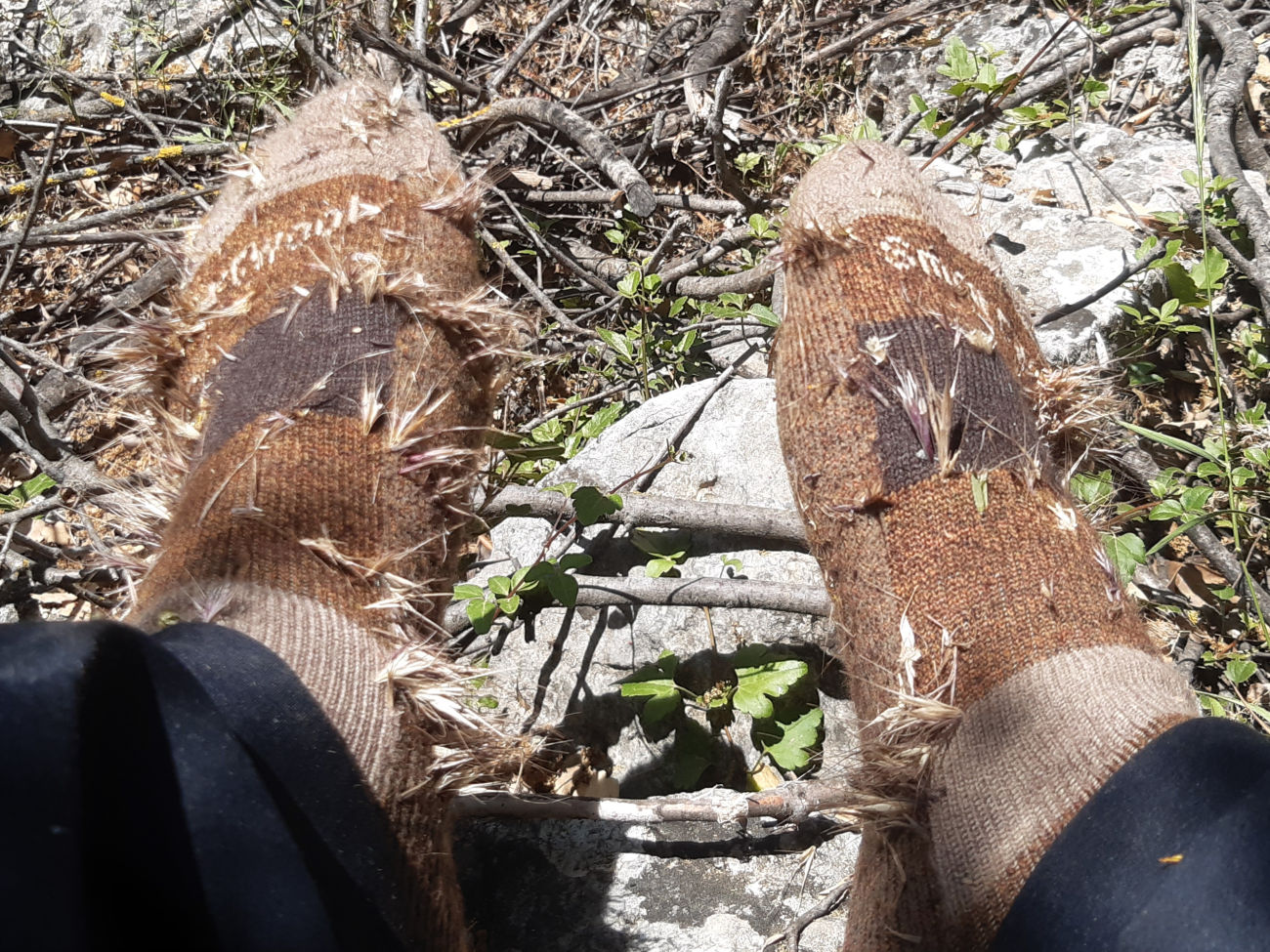 Stacheln in Socken
