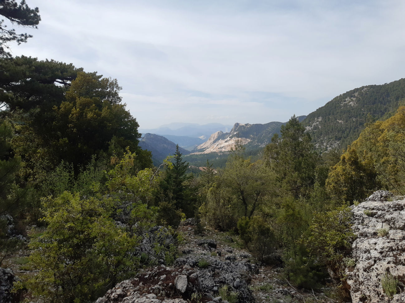 Rückblick