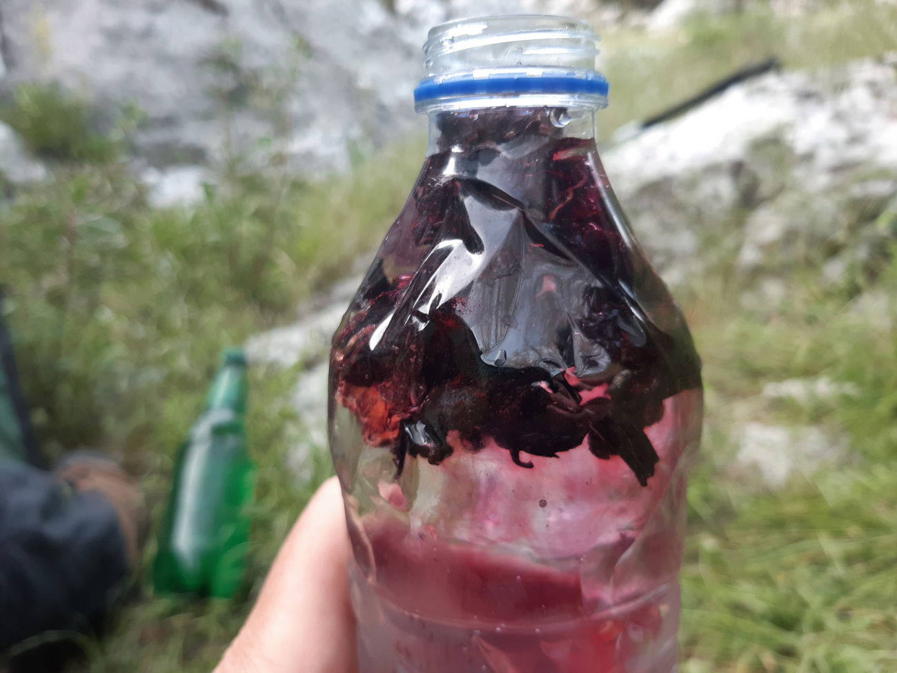 Hibiskuswasser