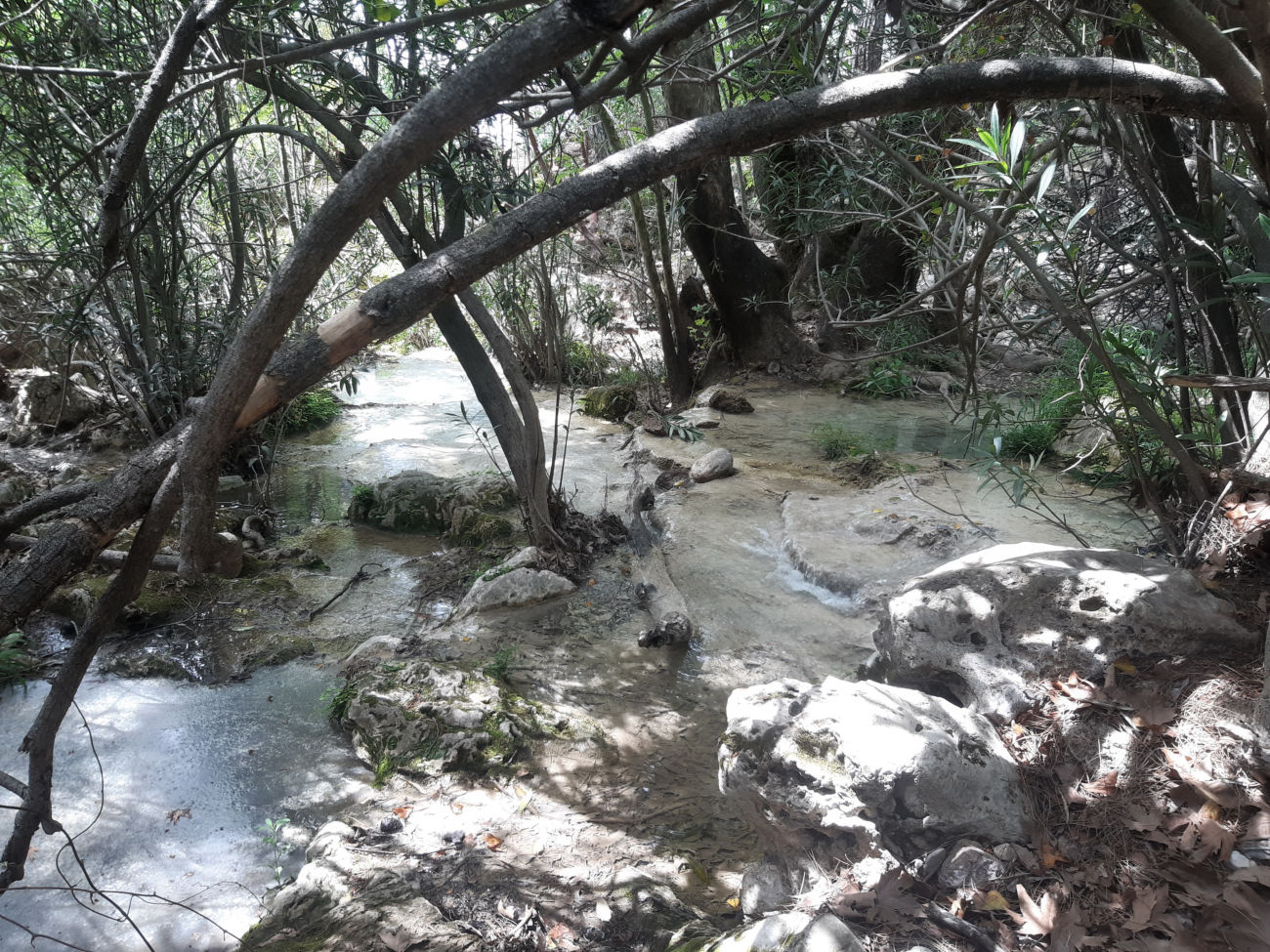 Uçansu-Bach